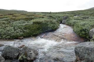 Hardangervidda | Norway