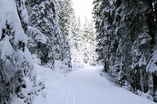 Jelovica plateau | Slovenia