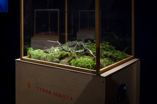 TERRA IGNOTA | Mala galerija Cankarjevega doma| Slovenija | 2023 | Foto: Kristina Bursać