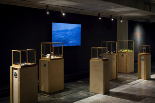 TERRA IGNOTA | Mala galerija Cankarjevega doma| Slovenija | 2023 | Foto: Kristina Bursać